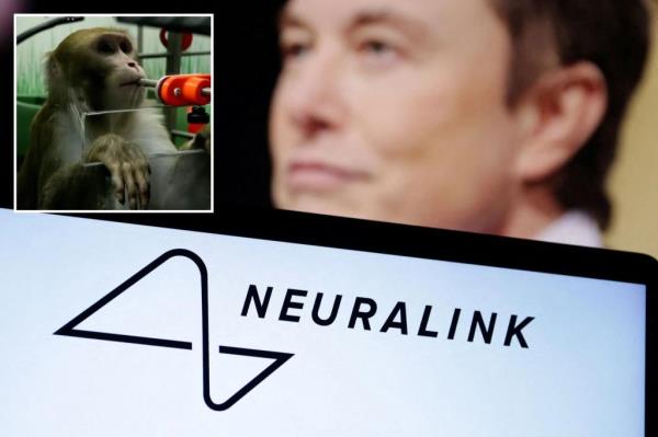 联邦政府拒绝伊隆·马斯克向人脑植入芯片的提议